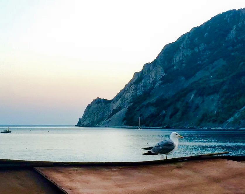 La Muraria Monterosso al Mare Eksteriør billede